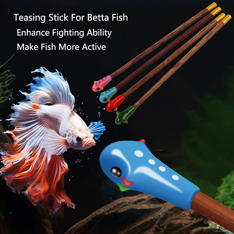 Aquarium Fish For Beginners - Bacchetta da allenamento per acquario Betta