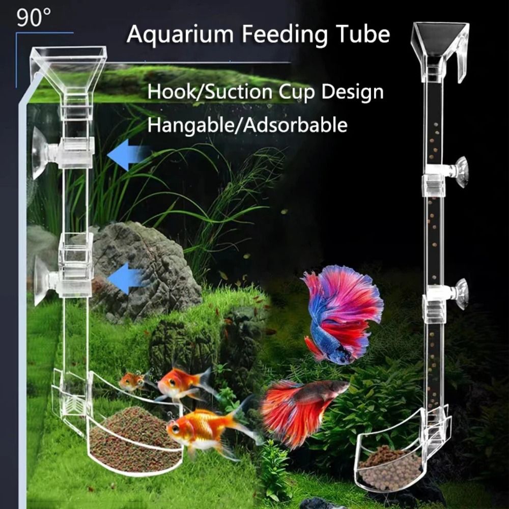 Aquarium Fish For Beginners - Nuovo trasparente acquario per acquario tubo