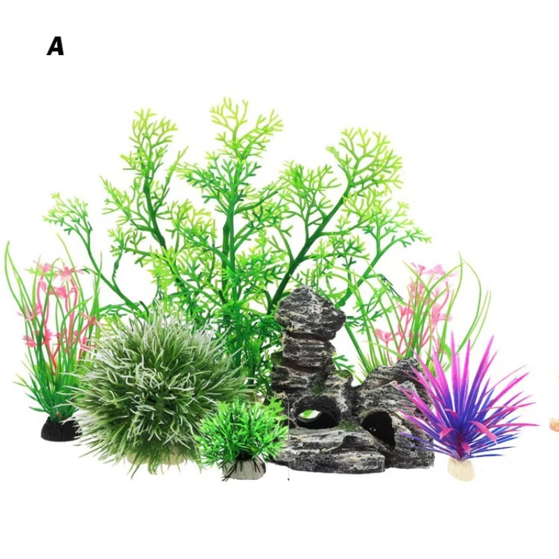 Aquarium Fish Sale - 10 Pezzi Nuovi Arrivi Piante e