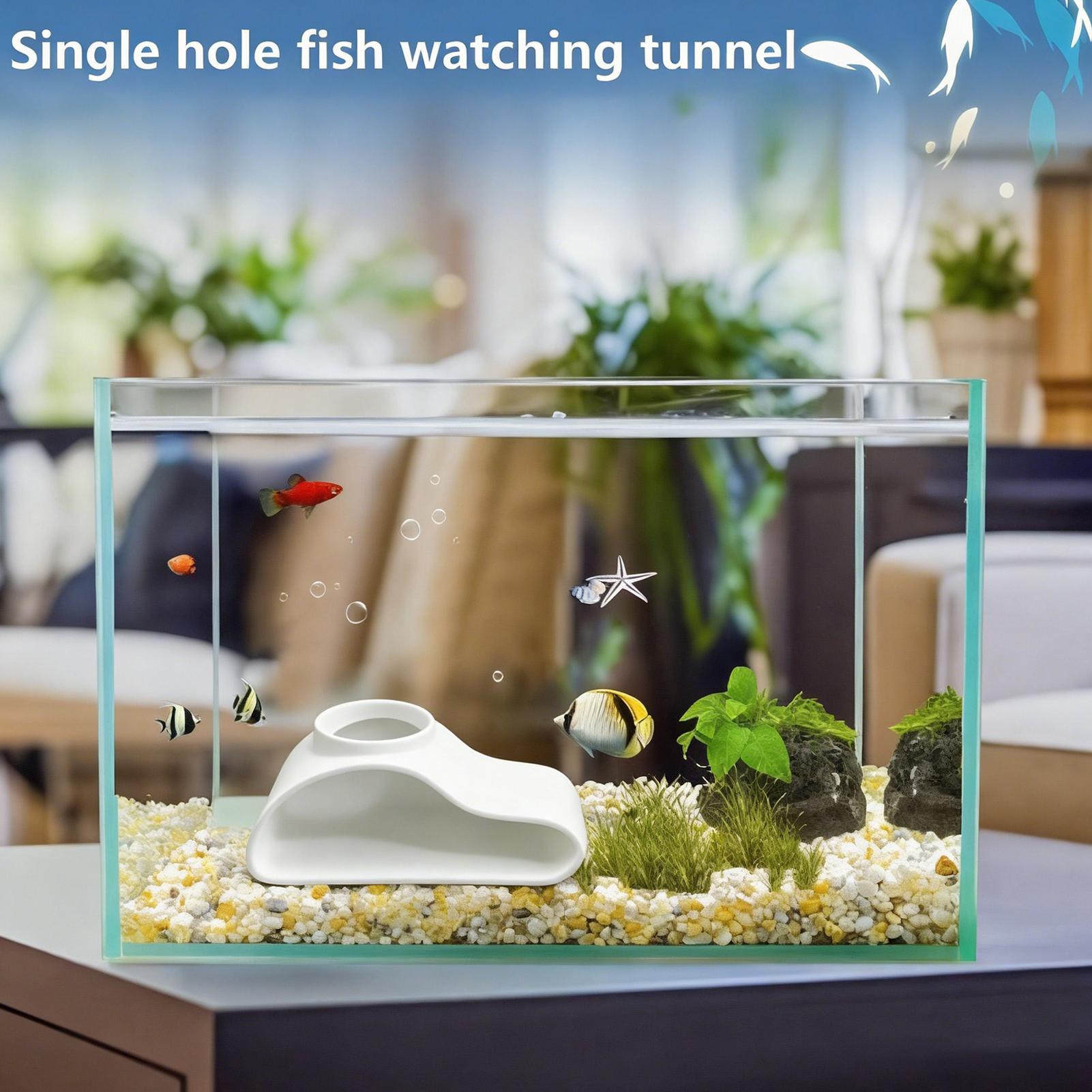 Aquarium Fish For Beginners - Acquario Tunnel sotterraneo Grotta Curva naturale