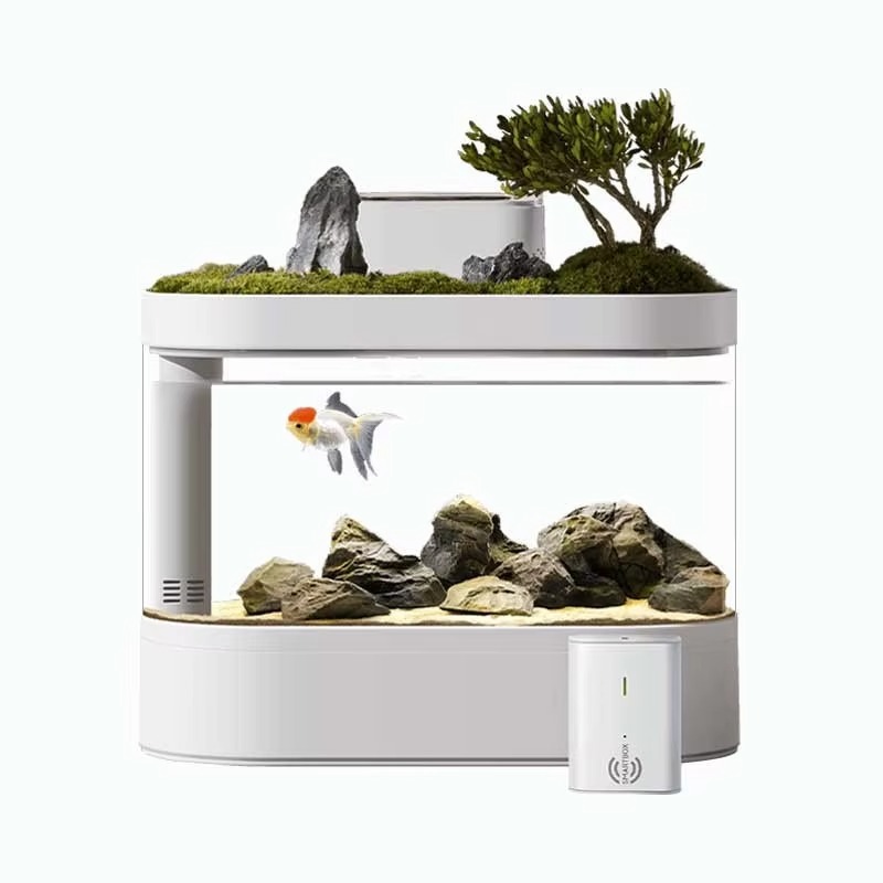 Aquarium Fish Feeder Automatic - Acquario Smart da Tavolo con Alimentatore