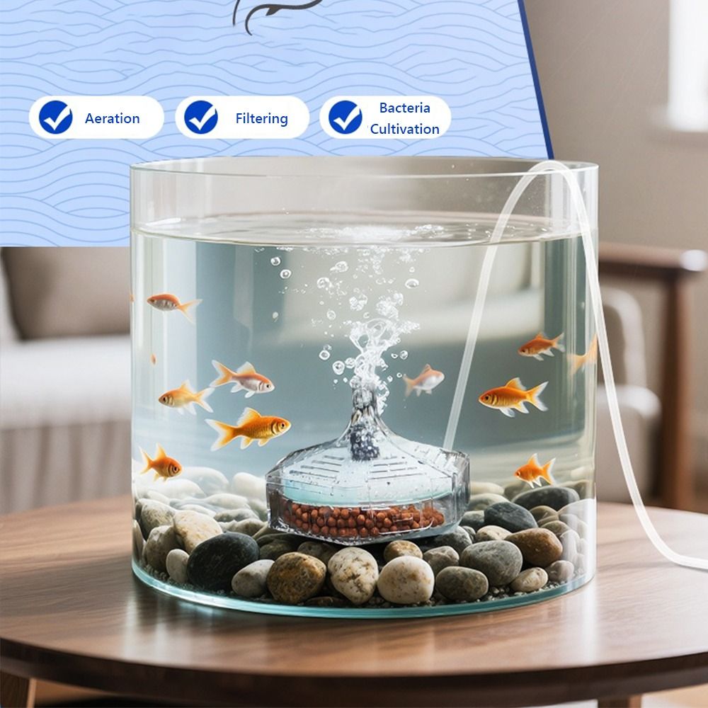 Aquarium Fish For Beginners - Nuovo filtro portatile per acquario per
