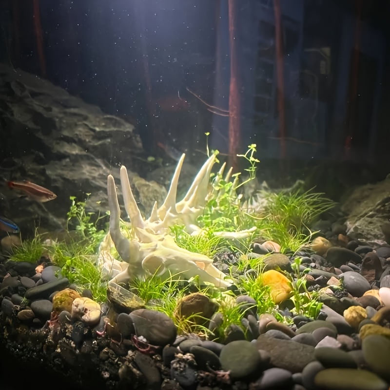 Decorazione a Forma di Drago p - Aquarium Fish Games recensione e prezzo