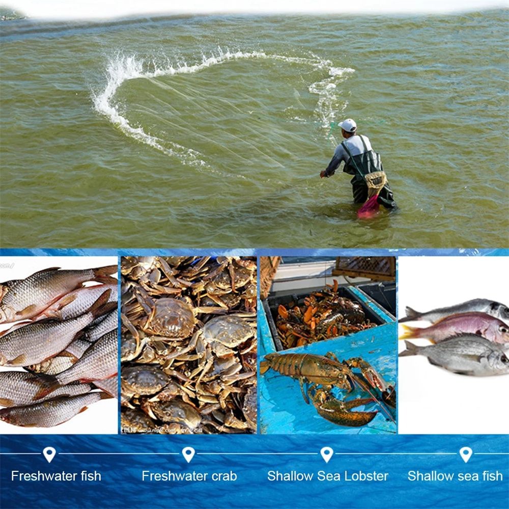 Rete da Pesca Durevole 8/15/20 - Aquarium Fish Trap recensione e prezzo