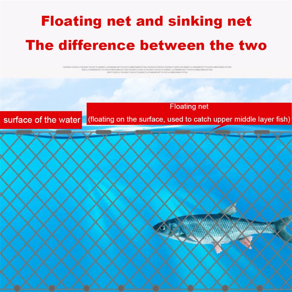 Rete da Pesca Durevole 8/15/20 - Aquarium Fish Trap recensione e prezzo
