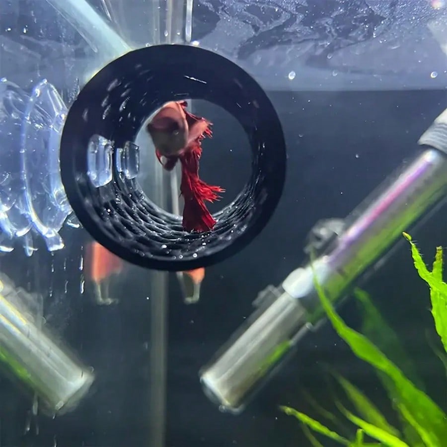 Nascondiglio per pesci d'acqua - Aquarium Fish Games recensione e prezzo