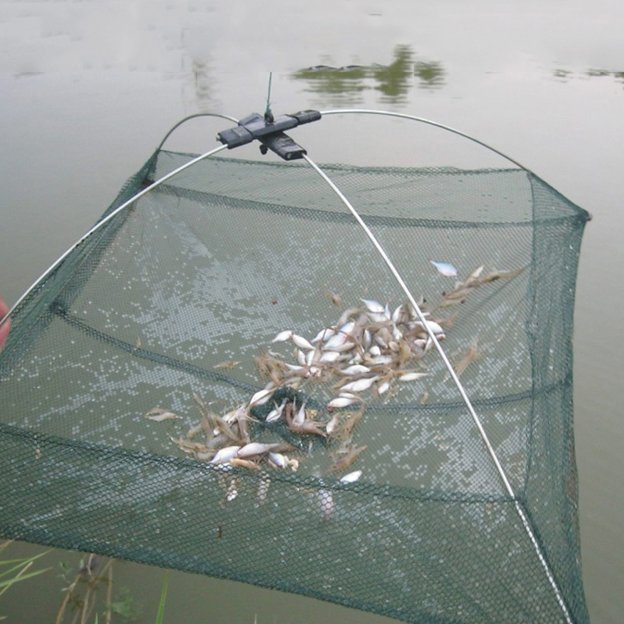60 centimetri 80 centimetri Re - Aquarium Fish Trap recensione e prezzo