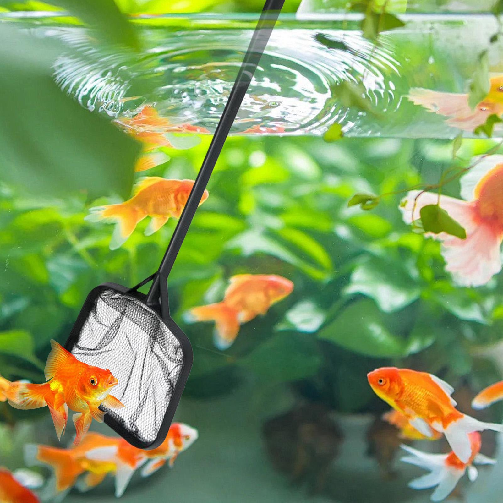 Reti per la Pulizia della Pisc - Aquarium Fish Trap recensione e prezzo