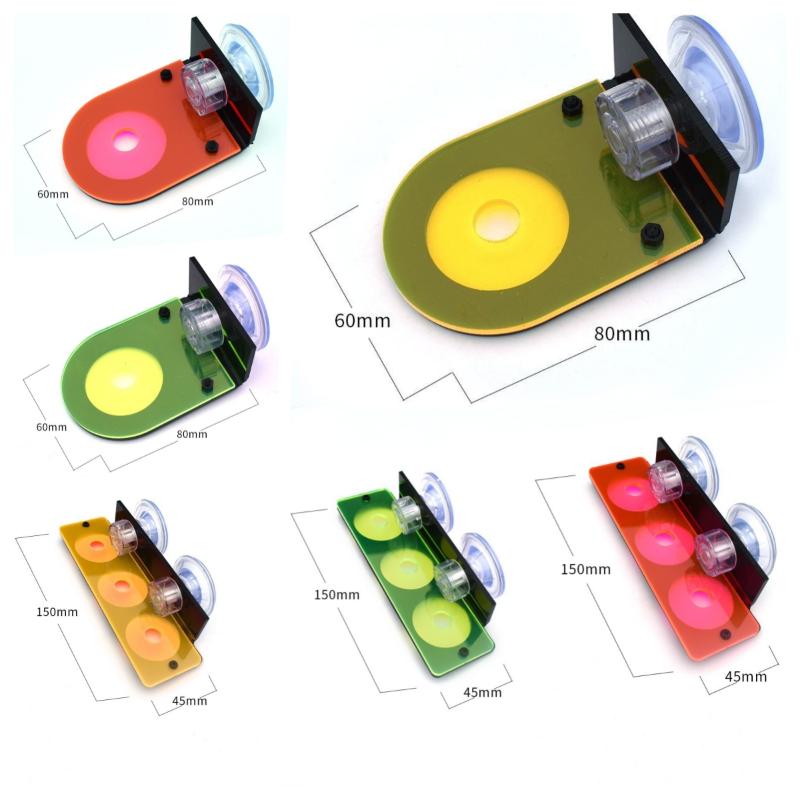Supporto per Coralli in Acrili - Aquarium Fish Marine recensione e prezzo