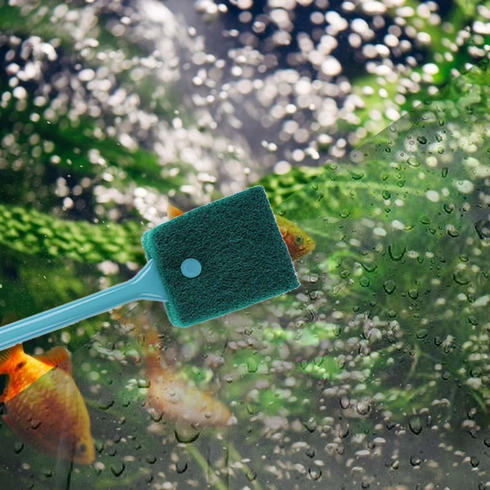 Spazzola per Pulizia Acquario  - Cleaner Fish Aquarium recensione e prezzo