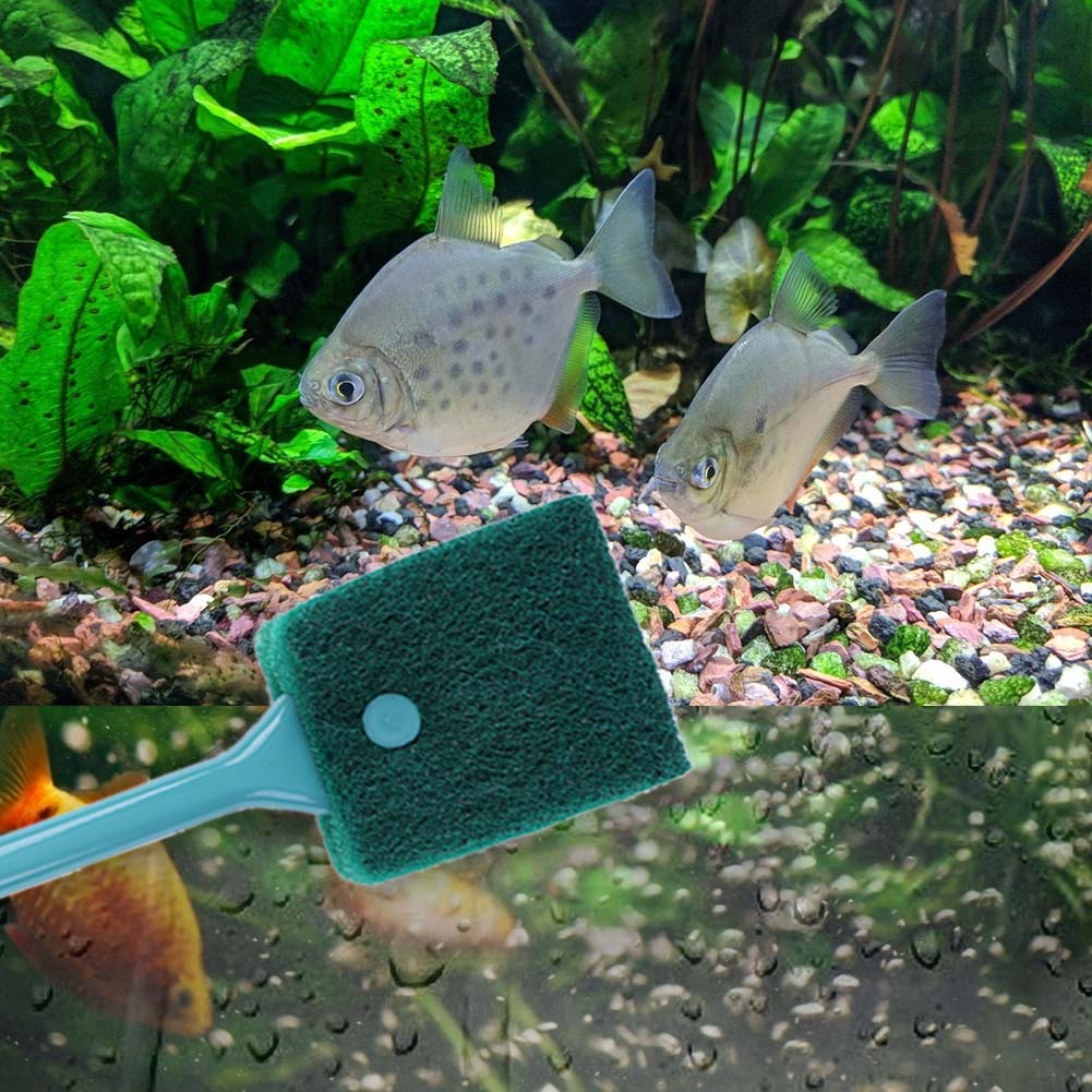 Spazzola per Pulizia Acquario  - Cleaner Fish Aquarium recensione e prezzo