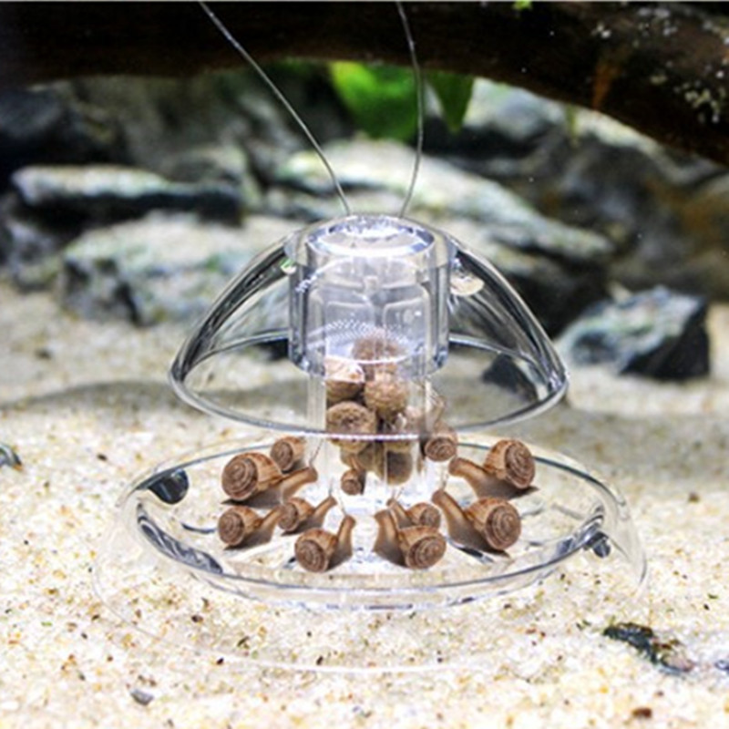 1PCS Fish Tank Aquarium Cleane - Cleaner Fish Aquarium recensione e prezzo