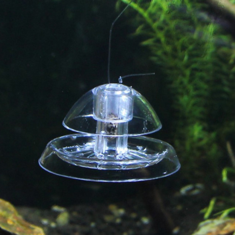 1PCS Fish Tank Aquarium Cleane - Cleaner Fish Aquarium recensione e prezzo
