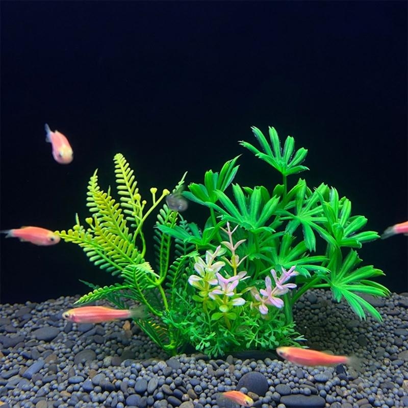 Decorazione artificiale per ac - Aquarium Fish Sale recensione e prezzo