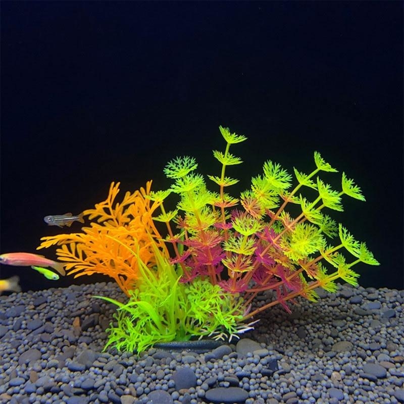 Decorazione artificiale per ac - Aquarium Fish Sale recensione e prezzo