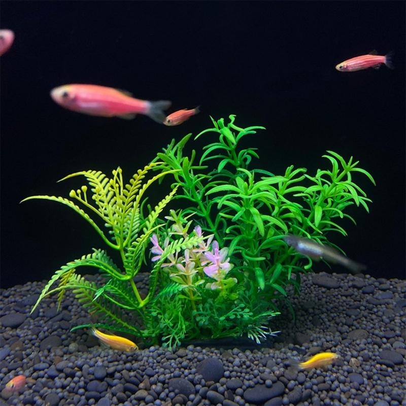Decorazione artificiale per ac - Aquarium Fish Sale recensione e prezzo