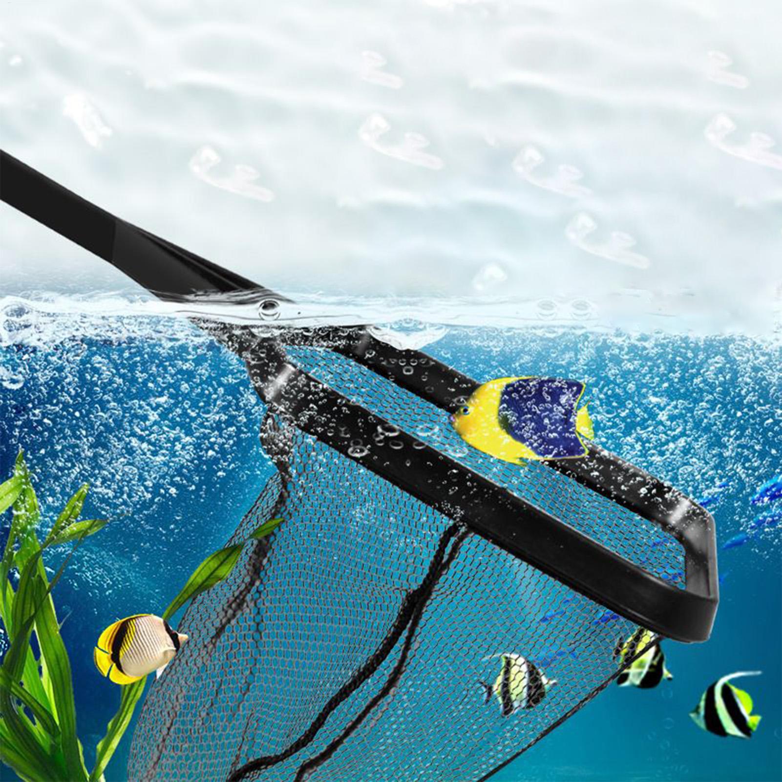 Rete per piscina Rete di salva - Cleaner Fish Aquarium recensione e prezzo