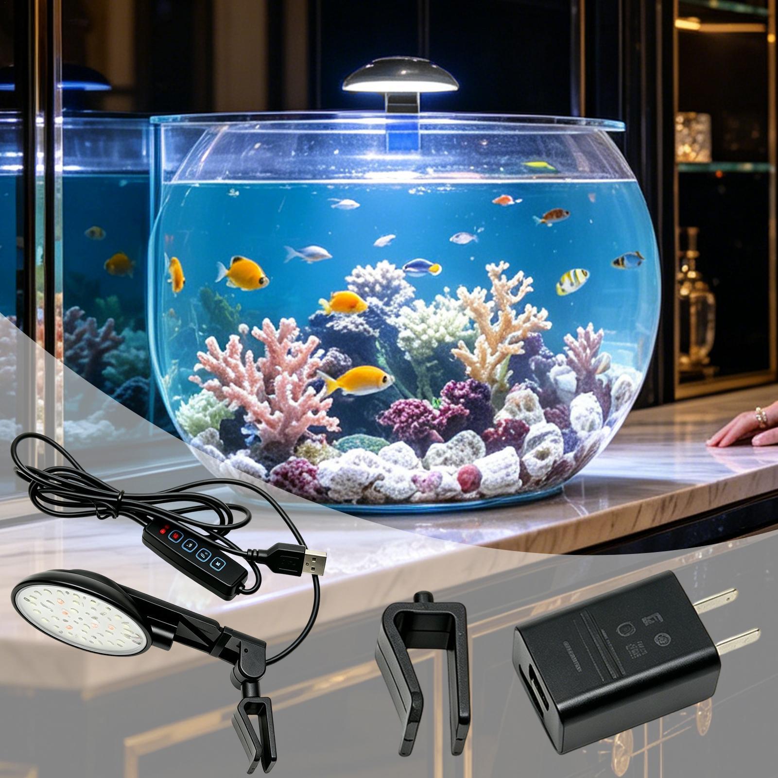 Lampada da acquario impermeabi - Aquarium Fish For Beginners recensione e prezzo