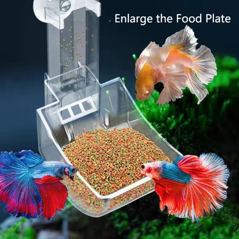 Nuovo trasparente acquario per - Aquarium Fish For Beginners recensione e prezzo