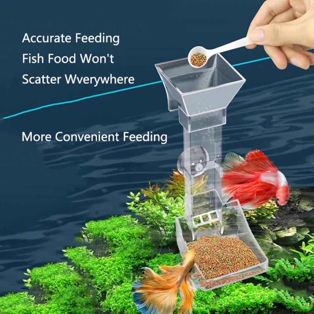 Nuovo trasparente acquario per - Aquarium Fish For Beginners recensione e prezzo