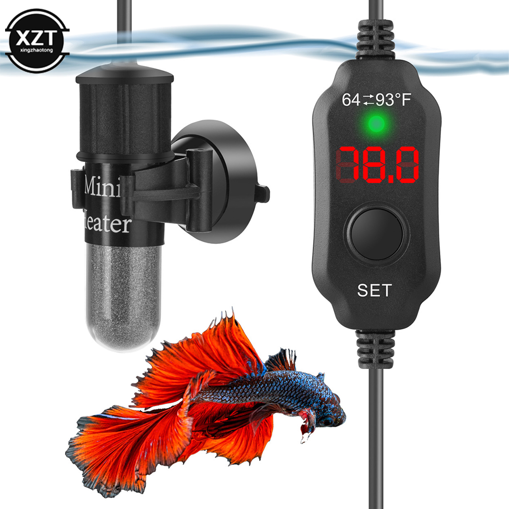 Mini USB Ricarica Acquario ast - Aquarium Fish Cold Water recensione e prezzo