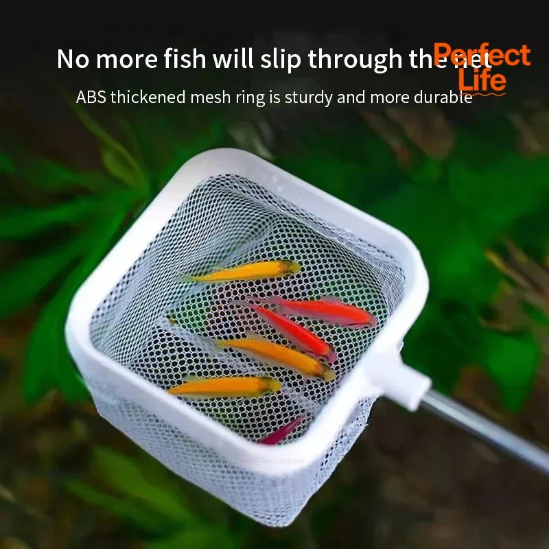 1 o 2 Pezzi Rete da Pesca in A - Aquarium Fish Trap recensione e prezzo