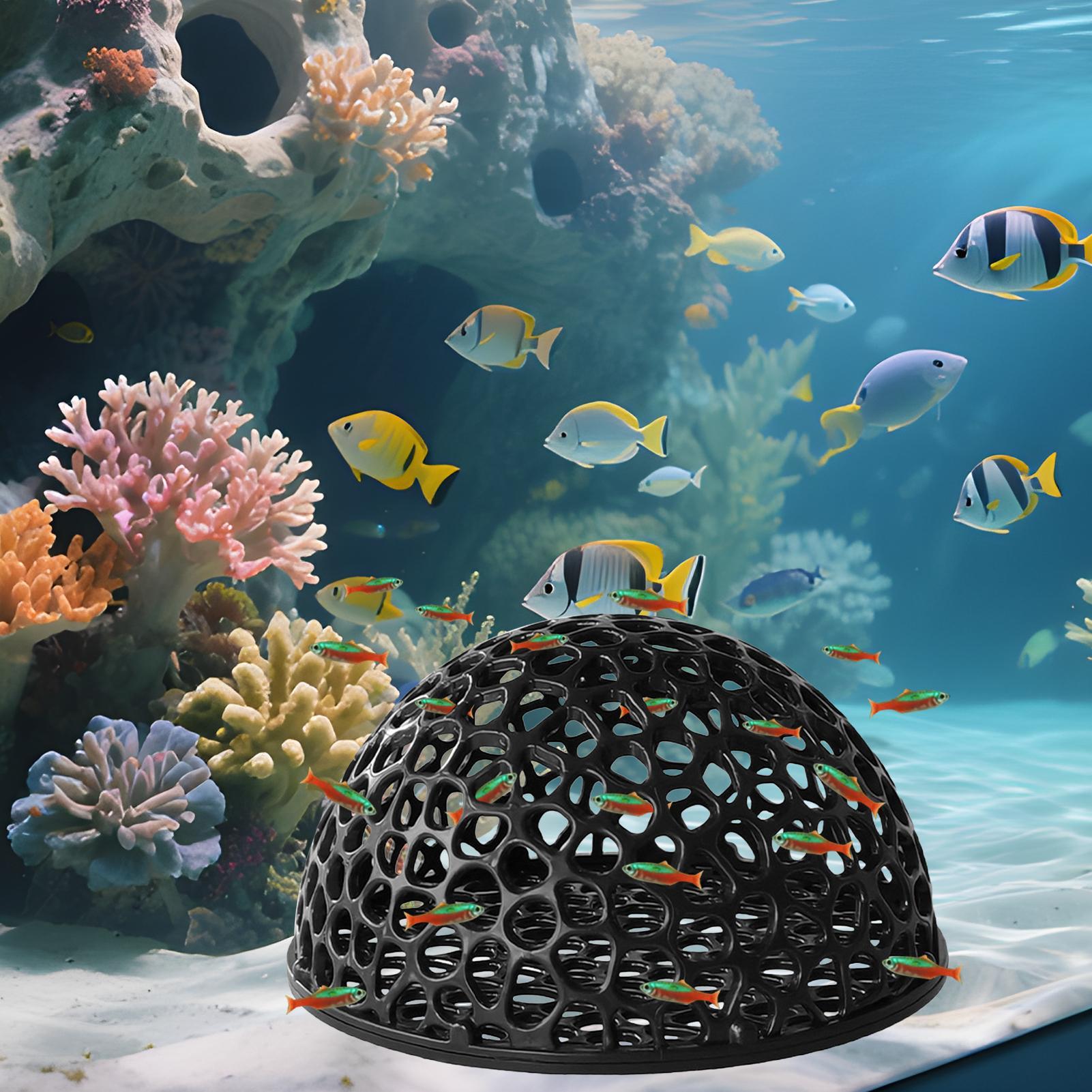 Rifugio per caverne per acquar - Aquarium Fish Games recensione e prezzo