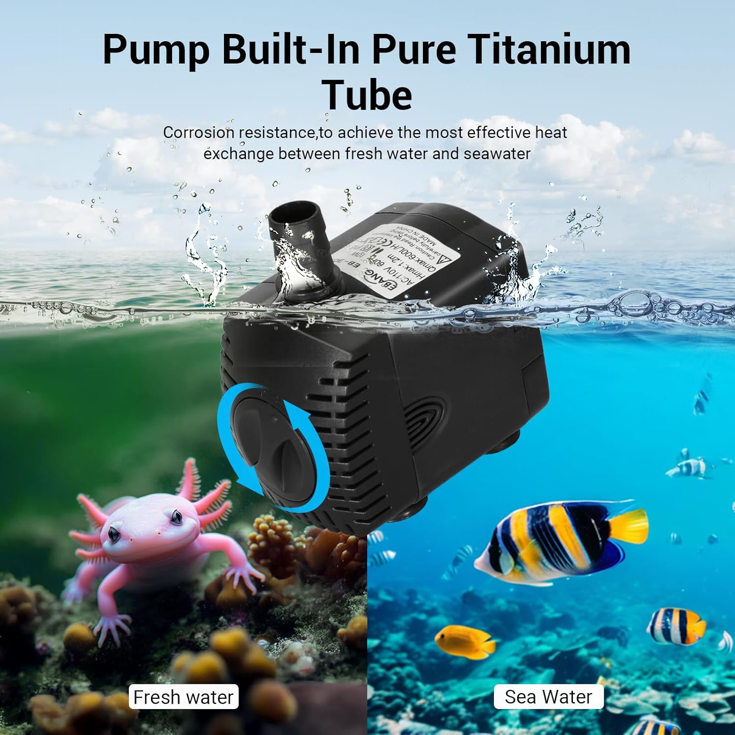 Refrigeratore per Acquario 79  - Aquarium Fish Cold Water recensione e prezzo