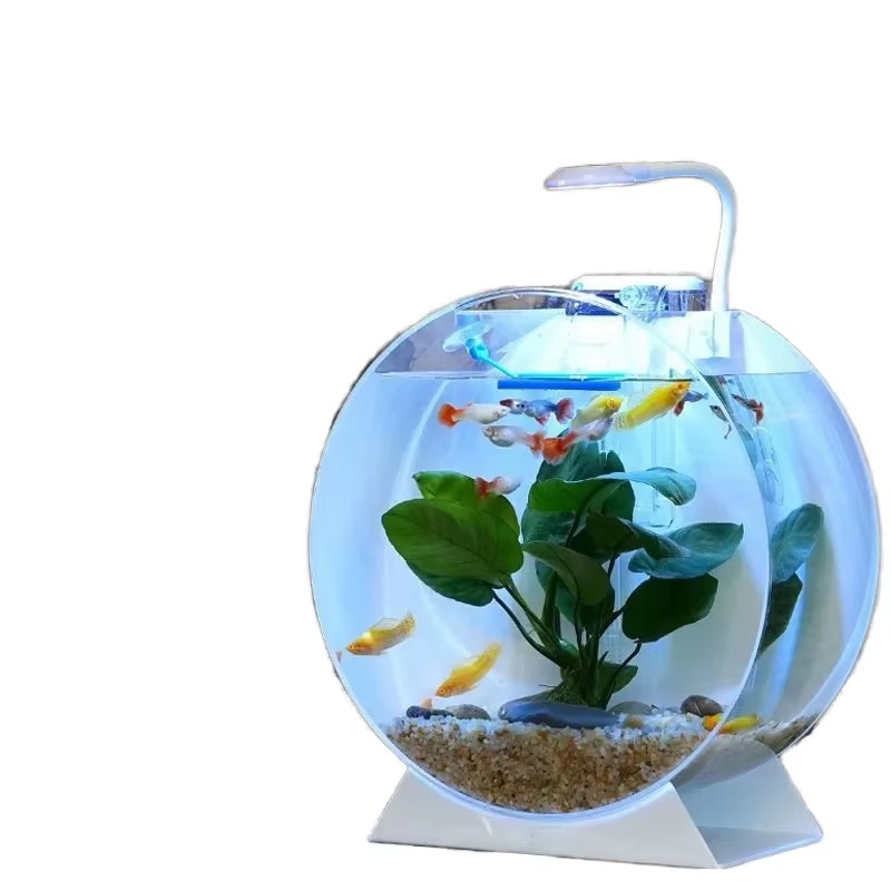 Vendita calda Acquari da tavol - Aquarium Fish Sale recensione e prezzo