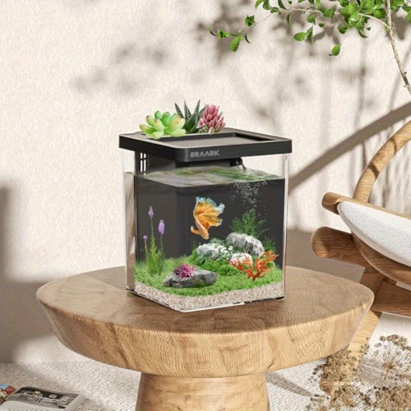 Acquario da scrivania per casa - Aquarium Fish For Beginners recensione e prezzo