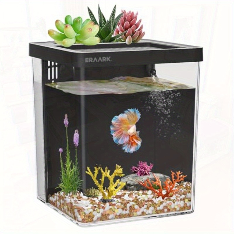 Acquario da scrivania per casa - Aquarium Fish For Beginners recensione e prezzo