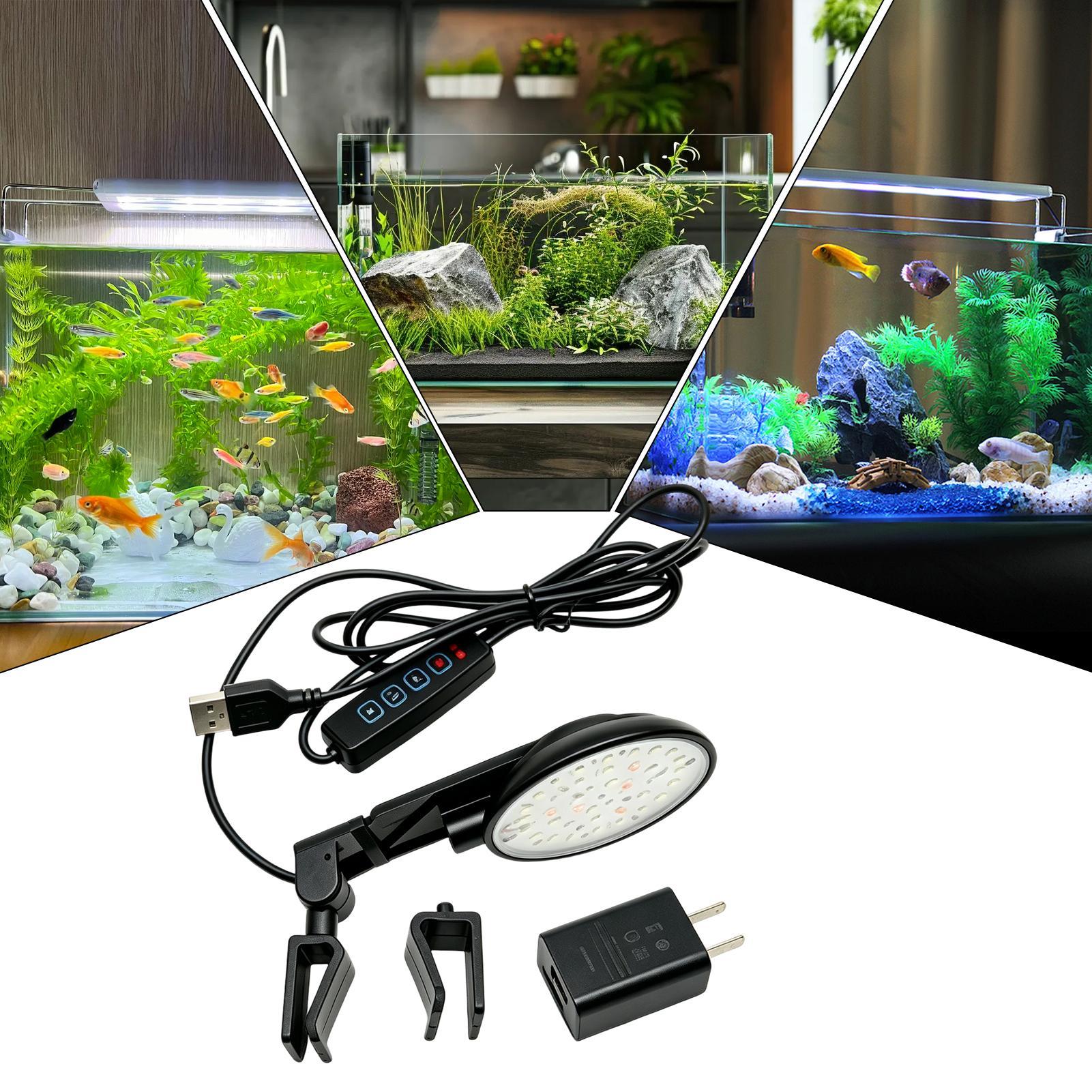 Lampada a LED per acquario, im - Aquarium Fish For Beginners recensione e prezzo