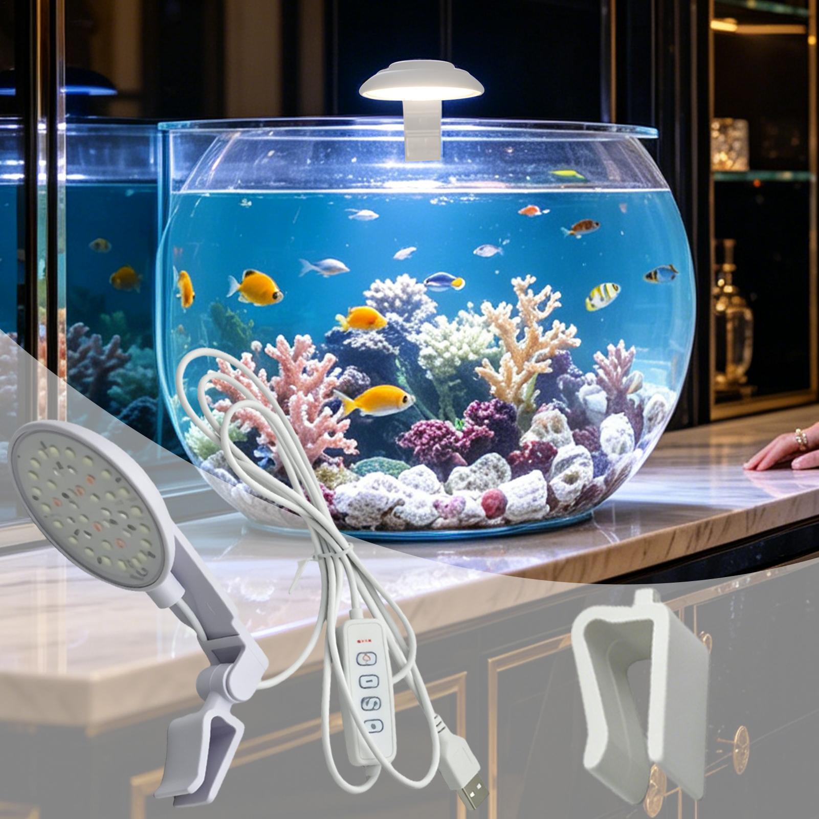 Lampada a LED per acquario, im - Aquarium Fish For Beginners recensione e prezzo