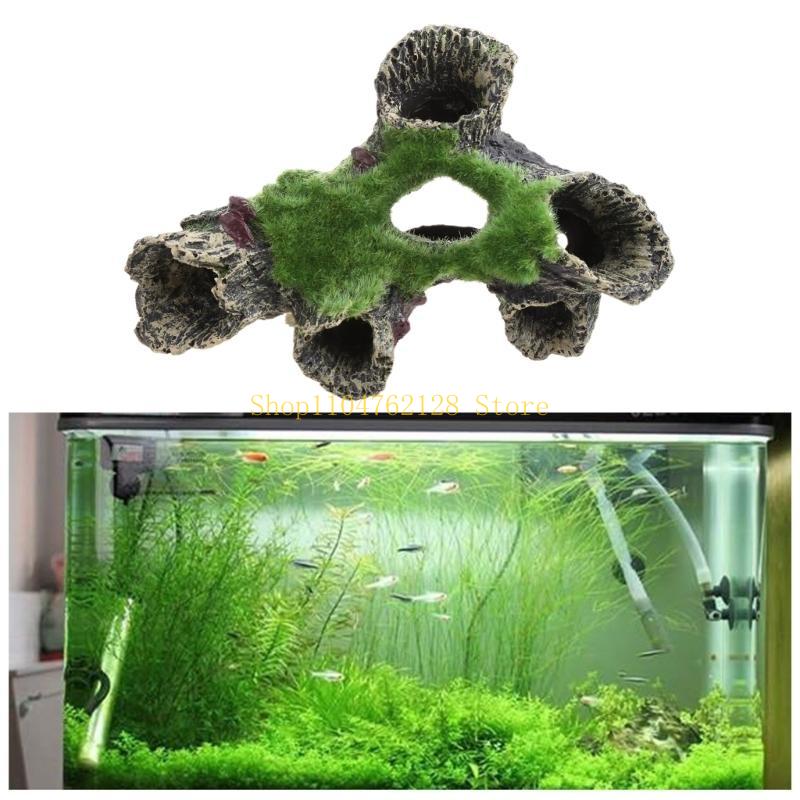 Pesce per decorazione del serb - Aquarium Fish Sale recensione e prezzo