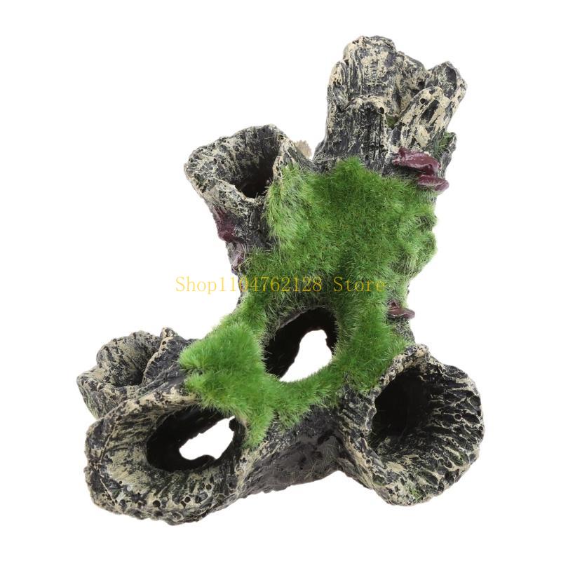 Pesce per decorazione del serb - Aquarium Fish Sale recensione e prezzo