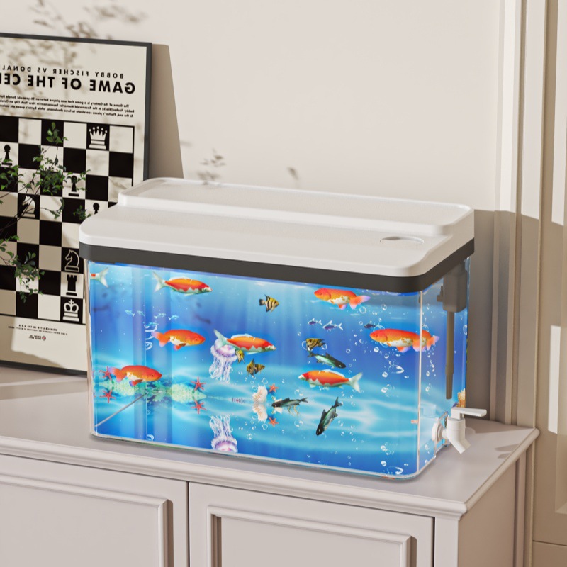 Piccolo kit da tavolo per acqu - Aquarium Fish For Beginners recensione e prezzo