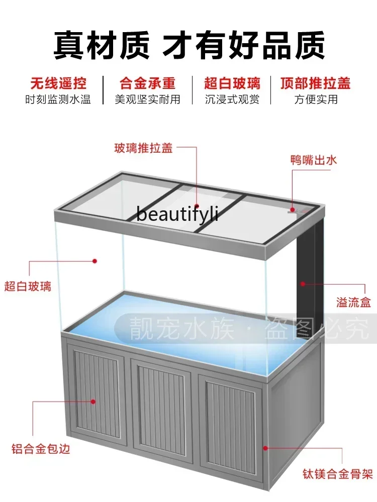 X New Light Luxury Dragon Fish - Xchange Aquarium Fish recensione e prezzo