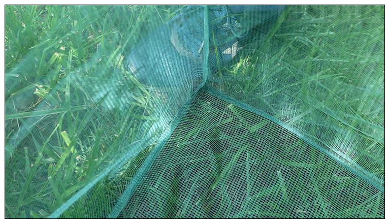 Pesca 3mm Palo Piccola Maglia  - Aquarium Fish Trap recensione e prezzo