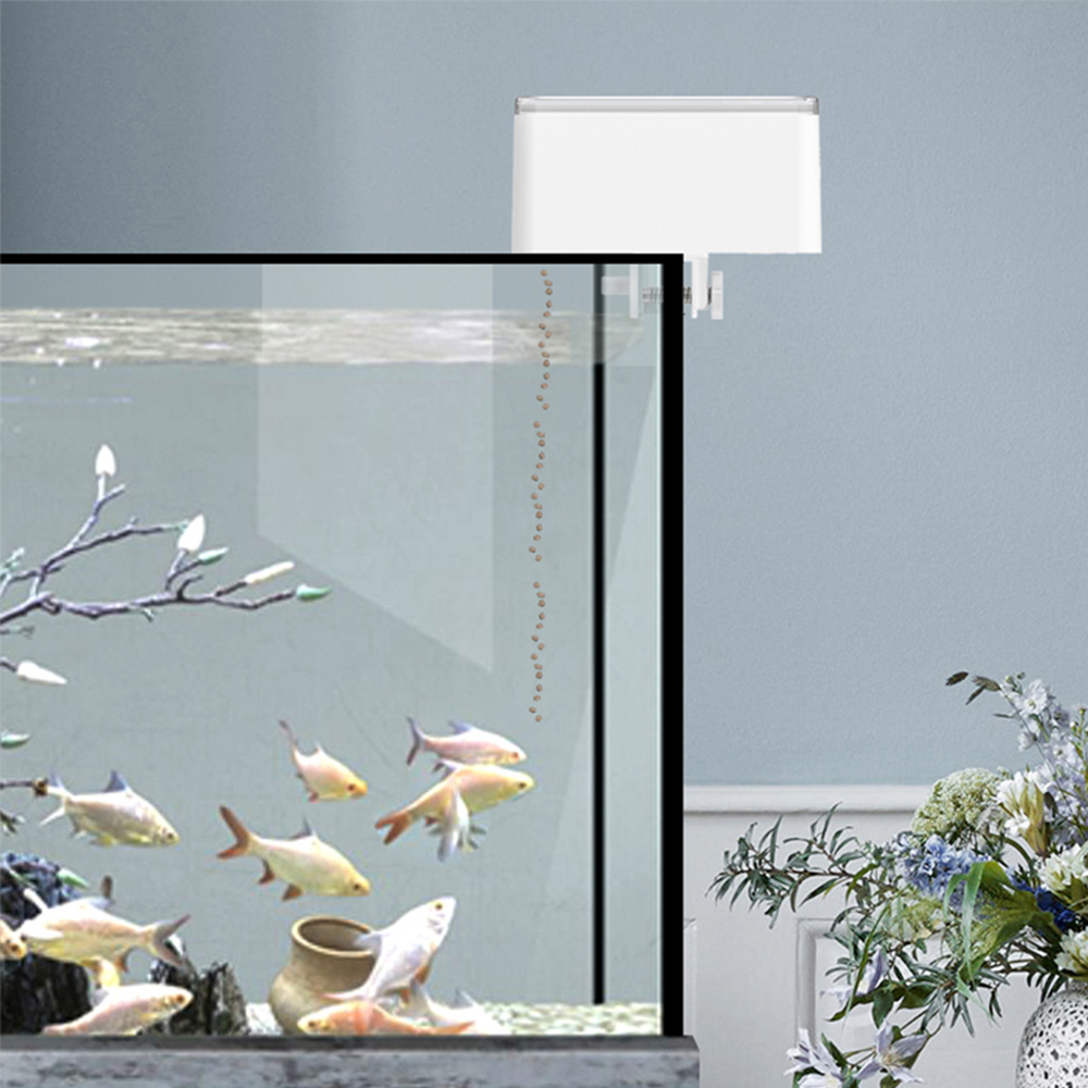 Alimentatore automatico per pi - Aquarium Fish Feeder Automatic recensione e prezzo