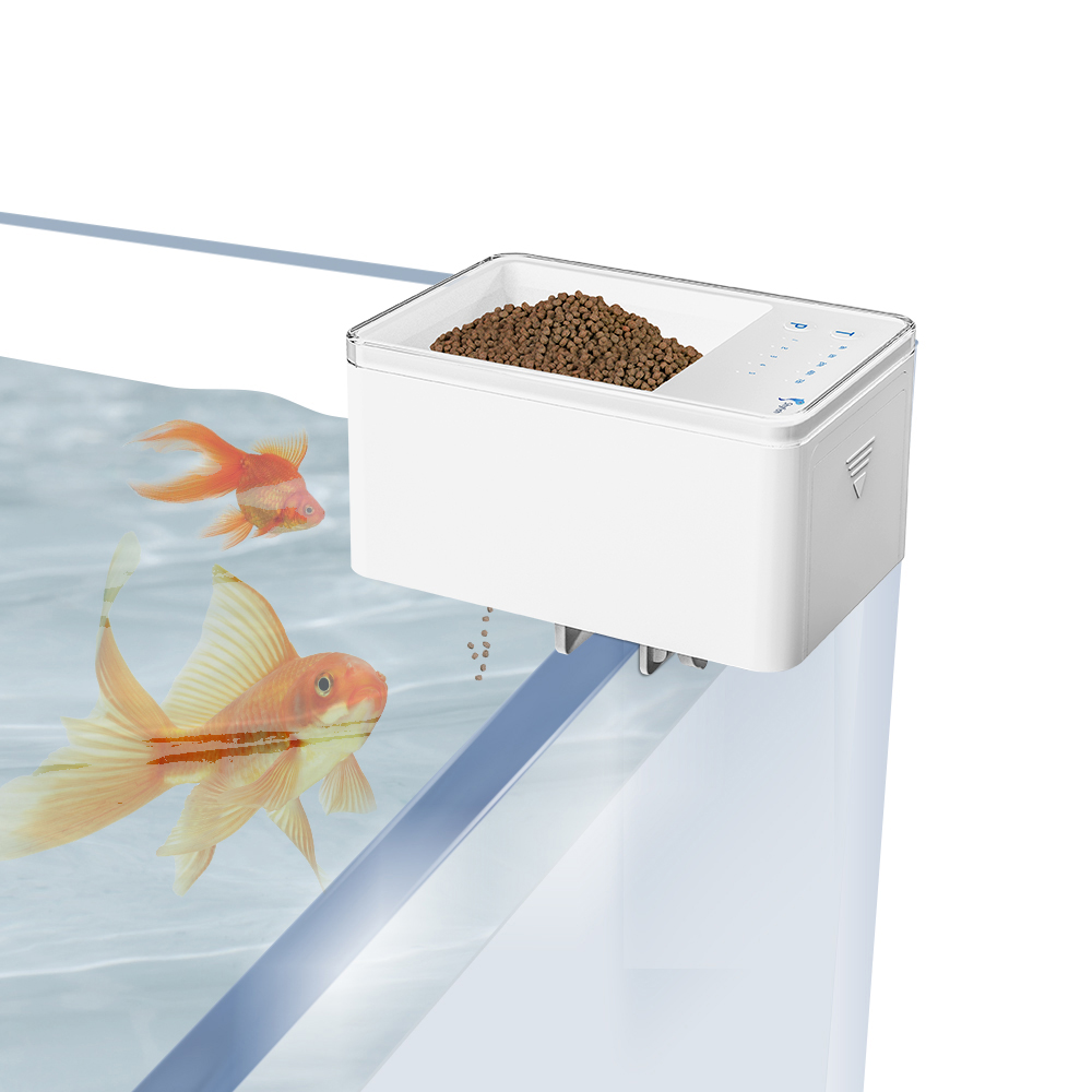 Alimentatore automatico per pi - Aquarium Fish Feeder Automatic recensione e prezzo