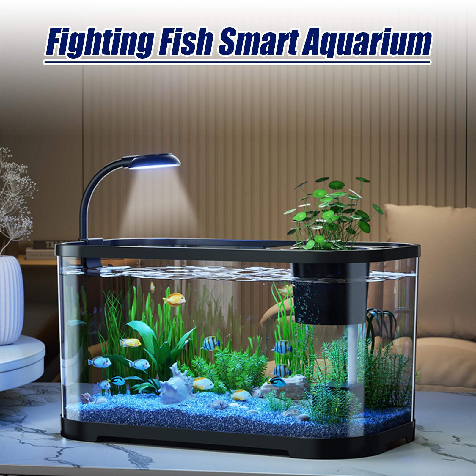 Kit acquario Starter Betta Fis - Aquarium Fish For Beginners recensione e prezzo