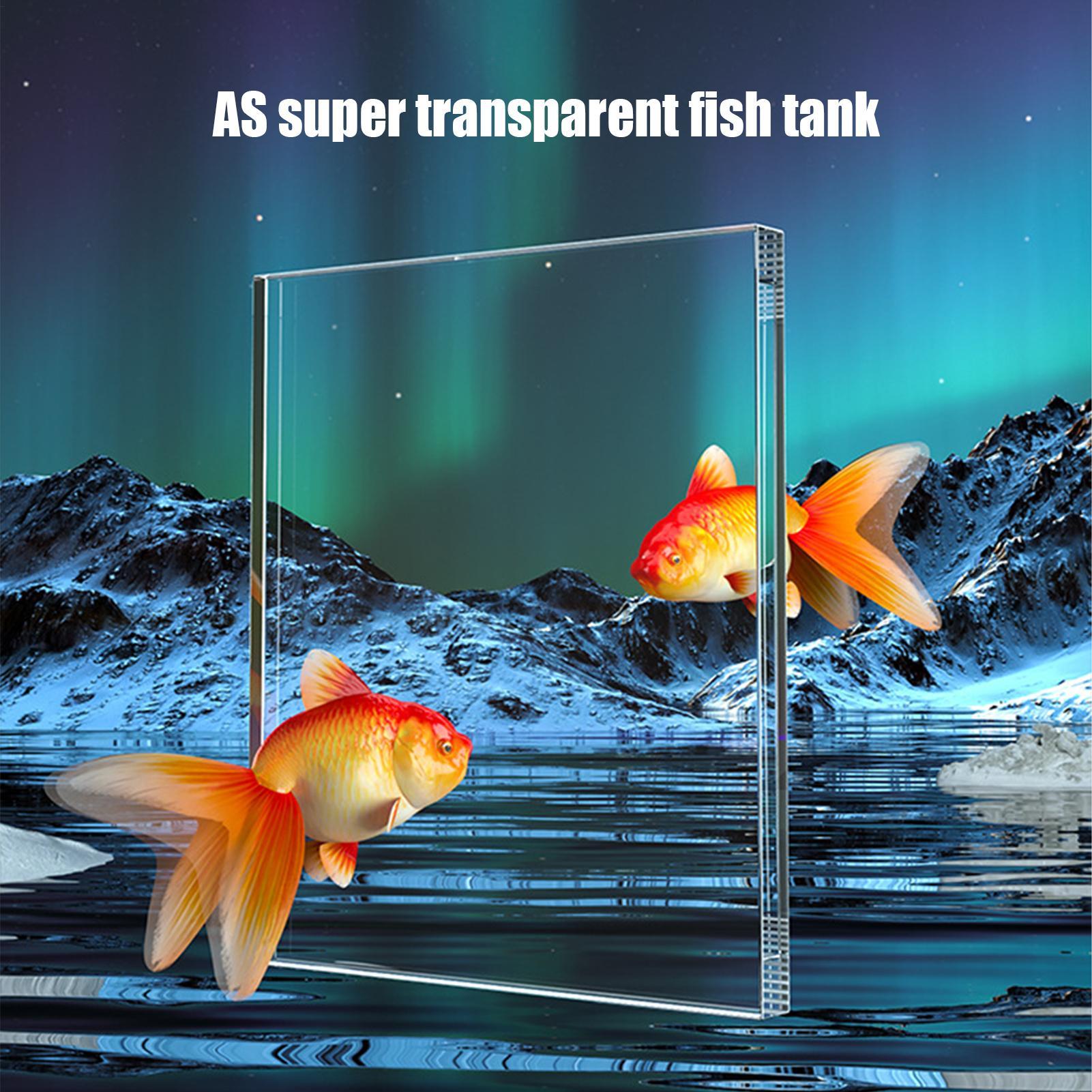 Kit acquario Starter Betta Fis - Aquarium Fish For Beginners recensione e prezzo