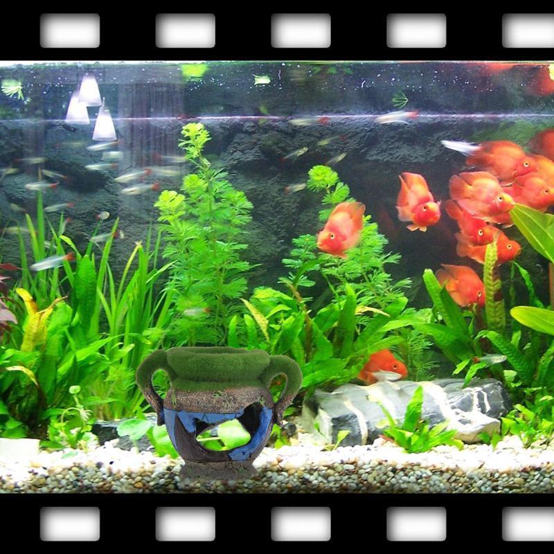 Vaso in resina da 1 pezzo con  - Aquarium Fish Games recensione e prezzo