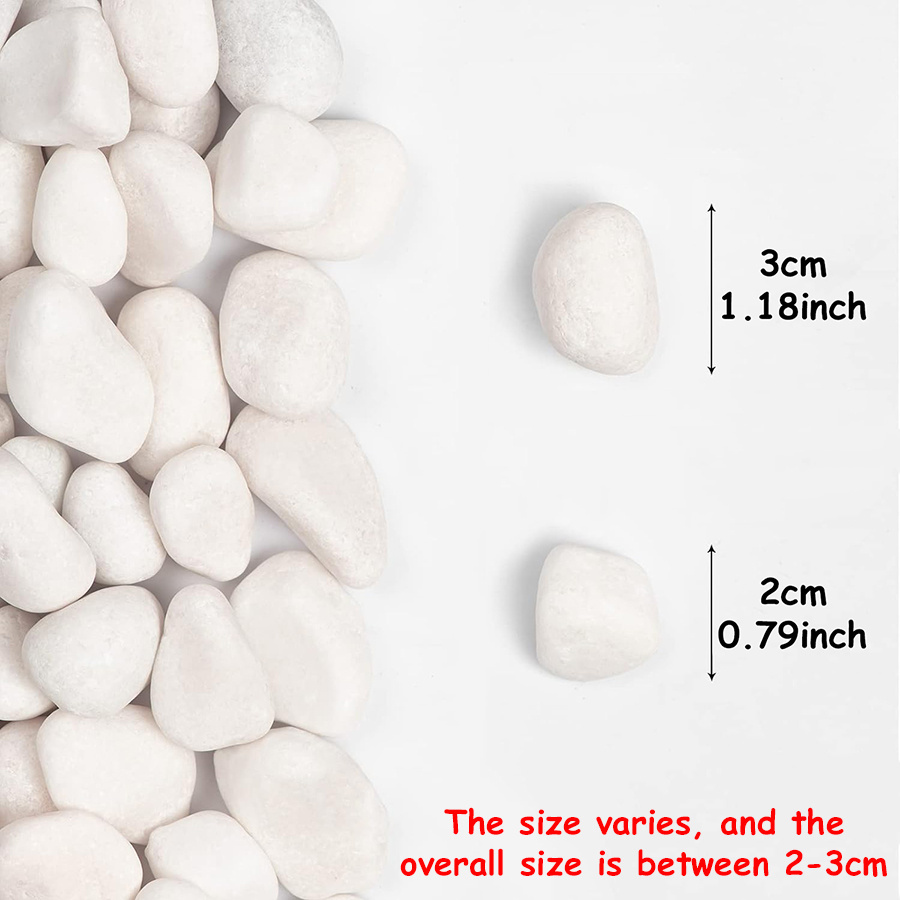 200/400g Bianco Alto Lucido Ci - Aquarium Decoration Rock recensione e prezzo