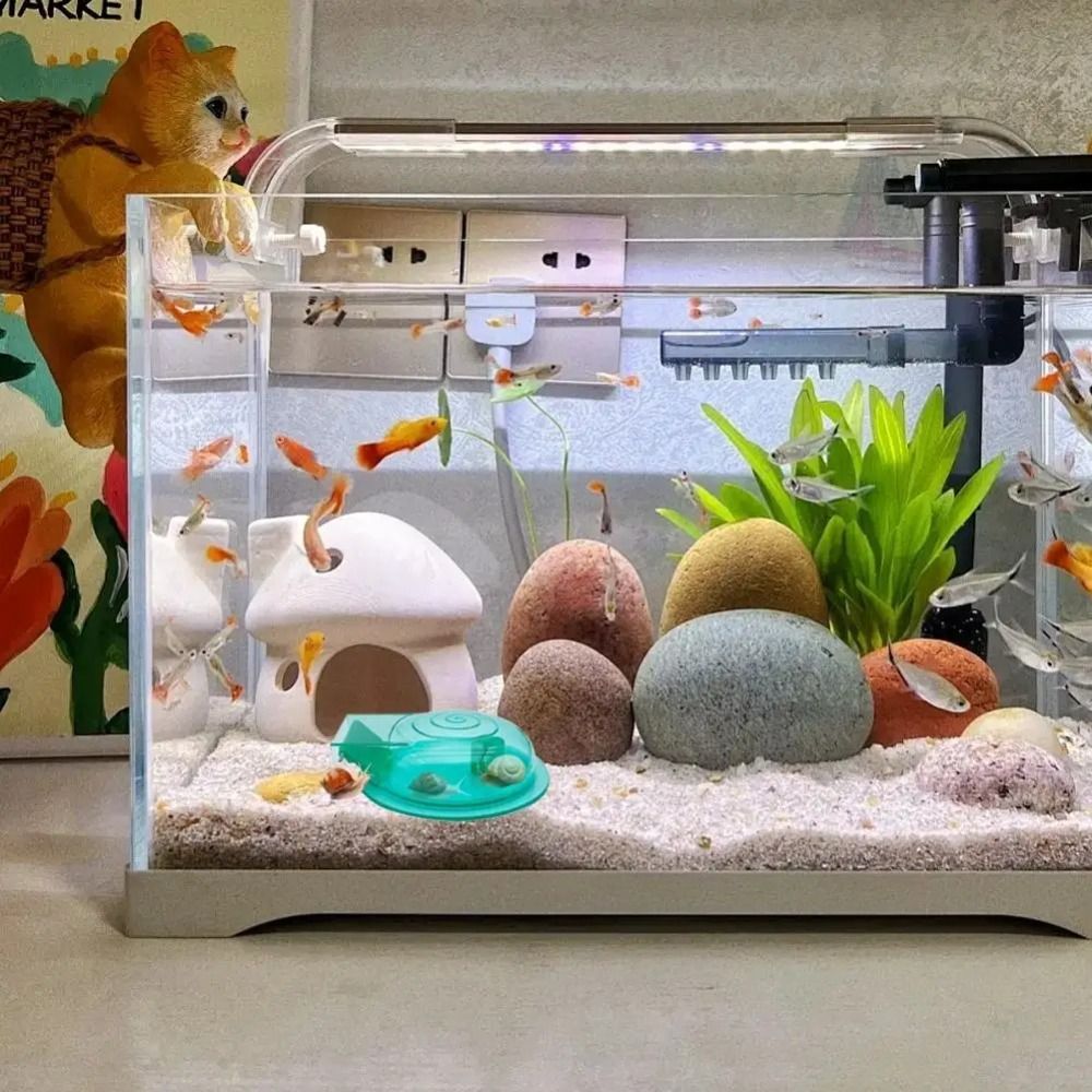 Trappola per Lumache d'Acquari - Aquarium Fish Trap recensione e prezzo