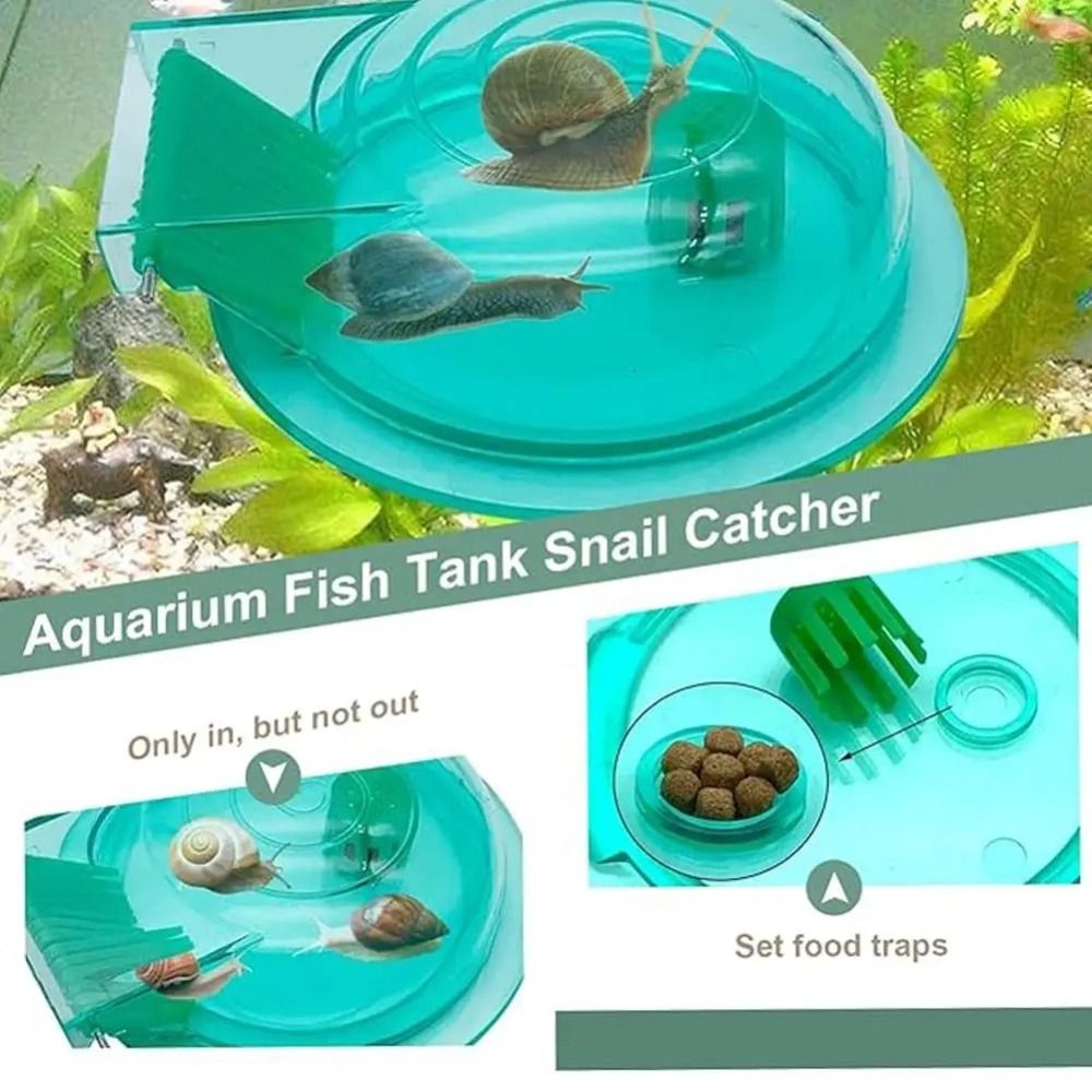 Trappola per Lumache d'Acquari - Aquarium Fish Trap recensione e prezzo