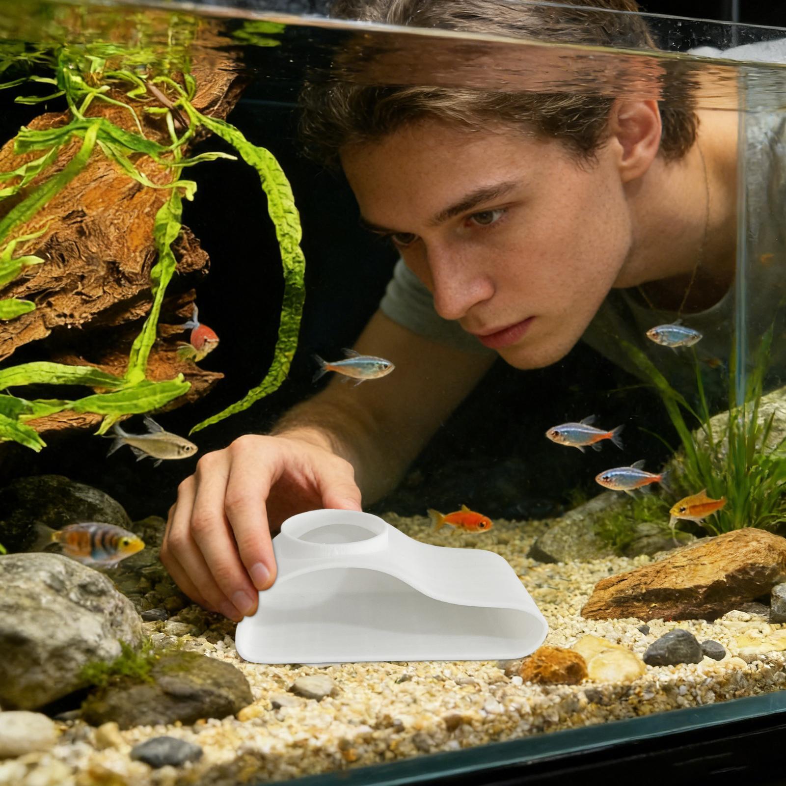 Acquario Tunnel sotterraneo Gr - Aquarium Fish For Beginners recensione e prezzo