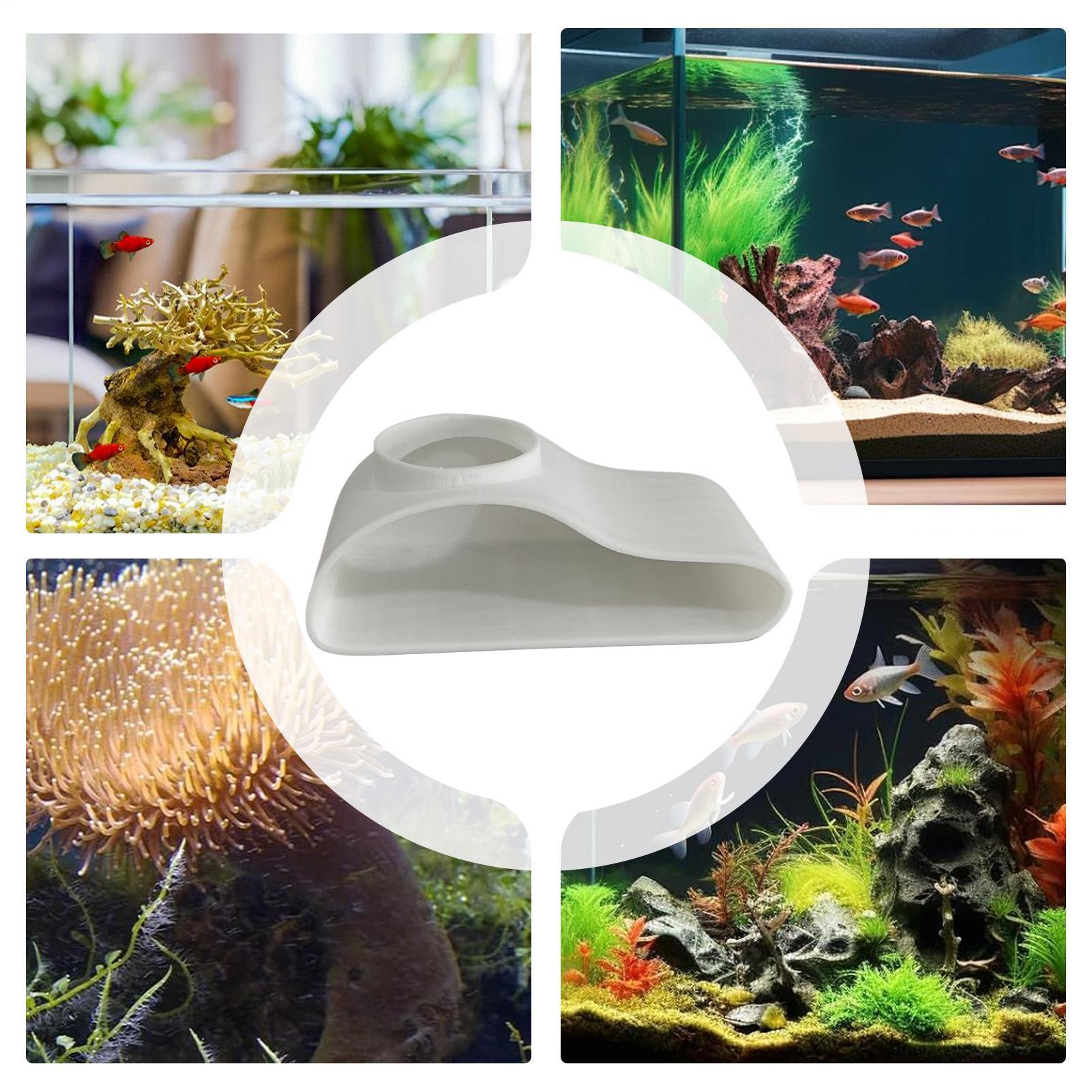Acquario Tunnel sotterraneo Gr - Aquarium Fish For Beginners recensione e prezzo