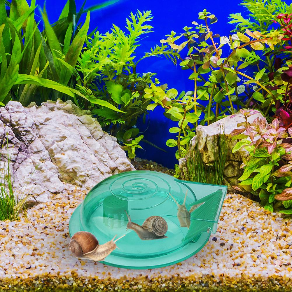 Trappola per lumache per acqua - Aquarium Fish Trap recensione e prezzo