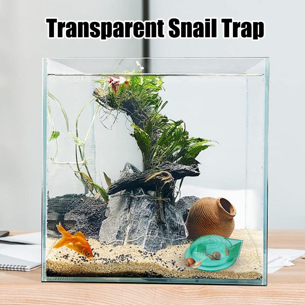 Trappola per lumache per acqua - Aquarium Fish Trap recensione e prezzo